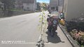 2025_08_31_so_01_003_honda_innova_sonnenblume _in_goppertshofen